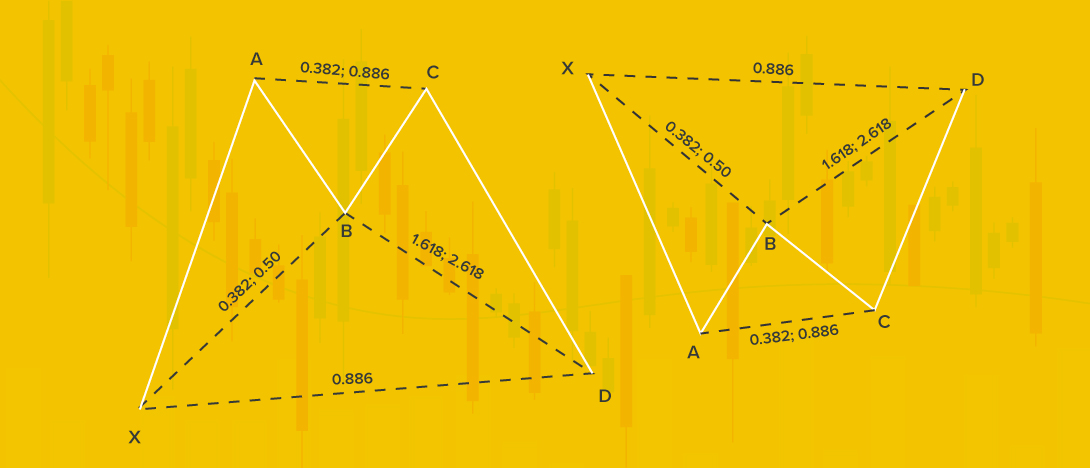 All  about harmonic price patterns