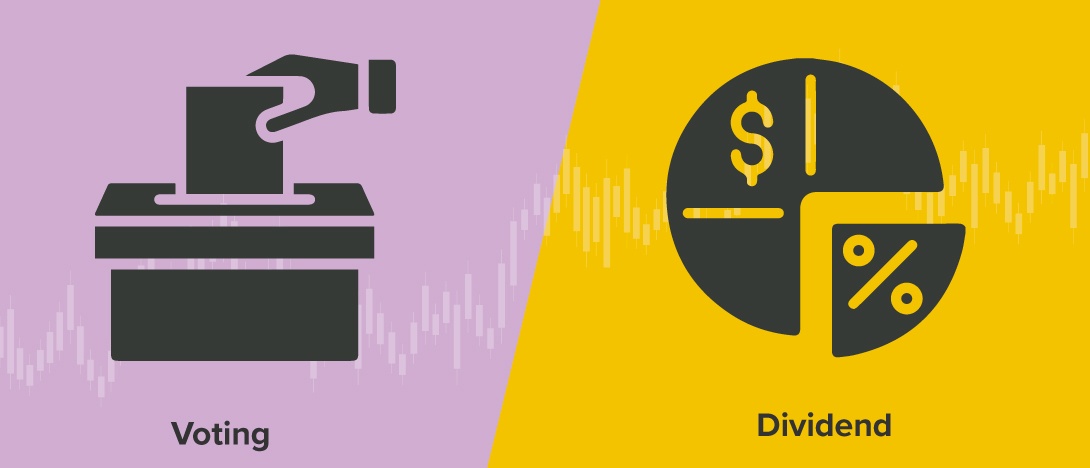 What are dual stocks in stock trading?