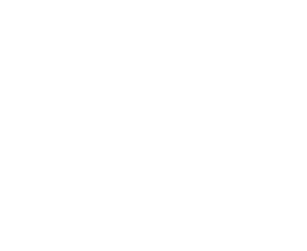 Investor Icon