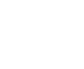 Professional Icon