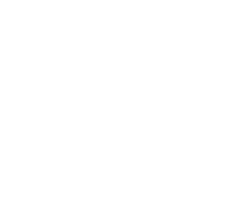 Opportunity Icon