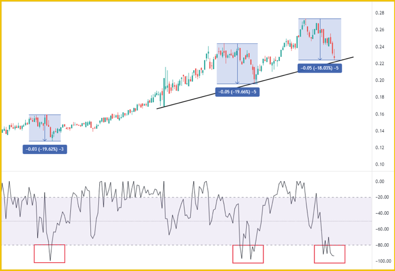 Interesting Earning Ideas Nasdaq100 & South Africa40 Century Financial